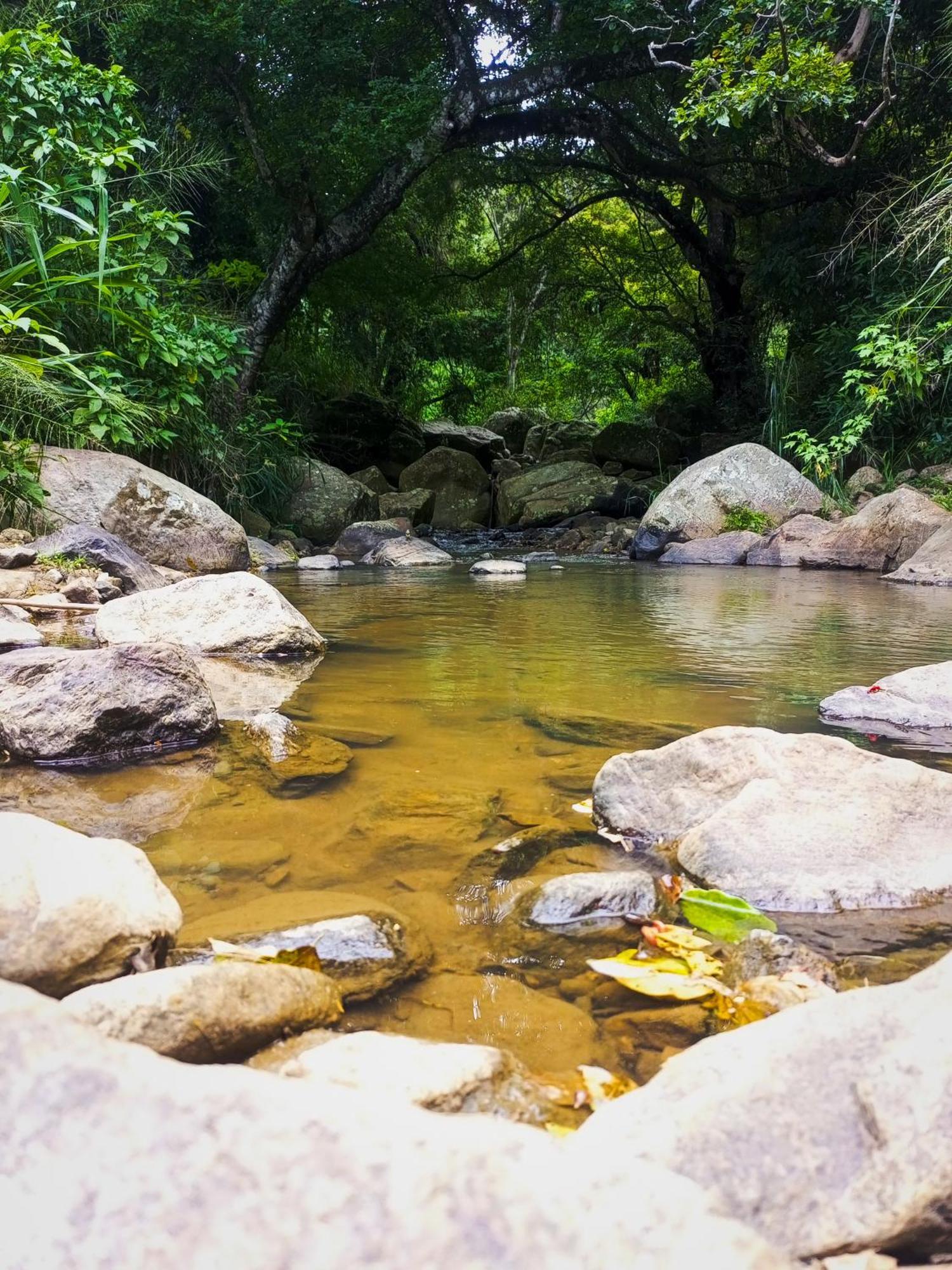 مبيت وإفطار إيلا Creek Downhills المظهر الخارجي الصورة