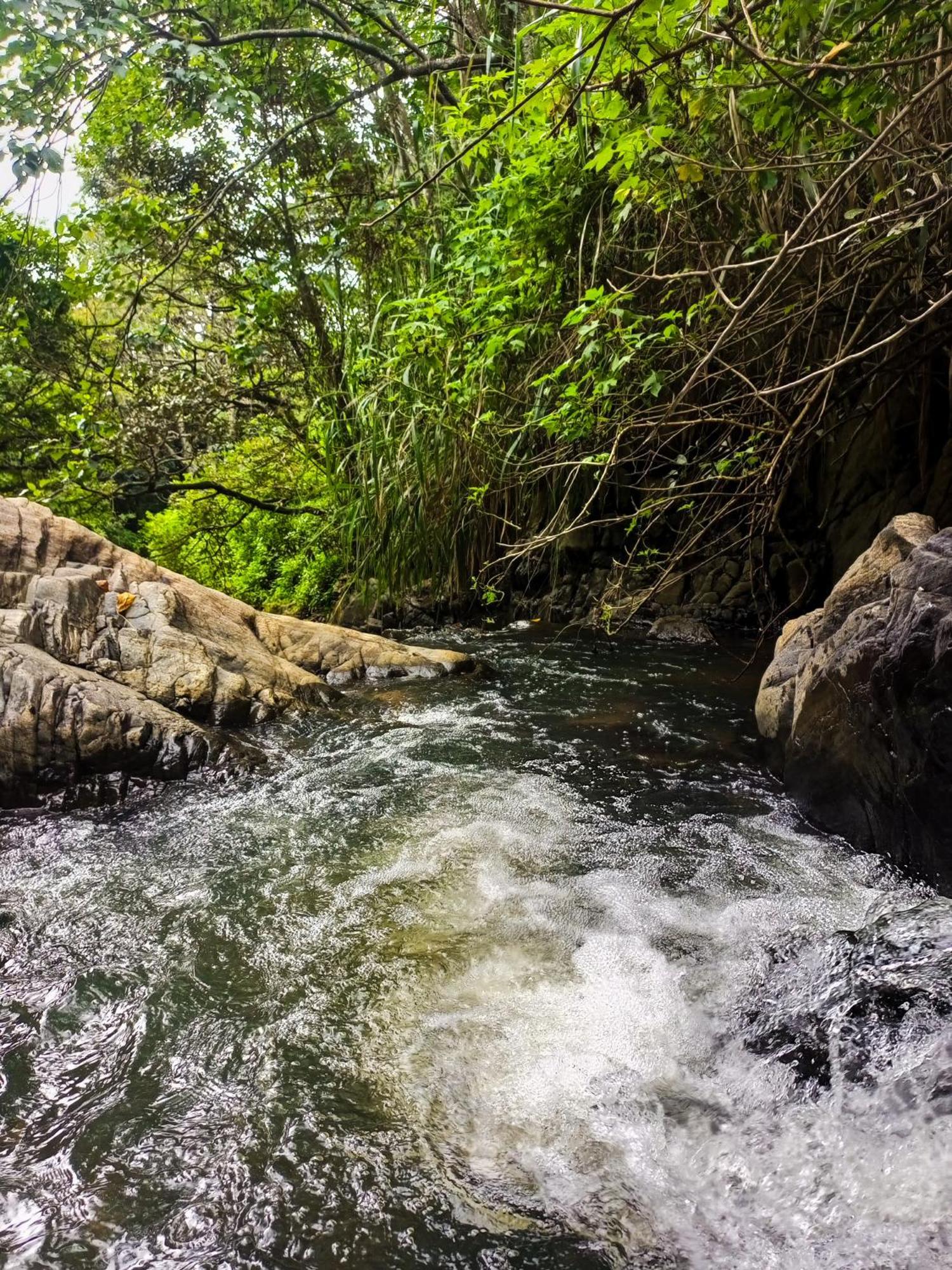 مبيت وإفطار إيلا Creek Downhills المظهر الخارجي الصورة