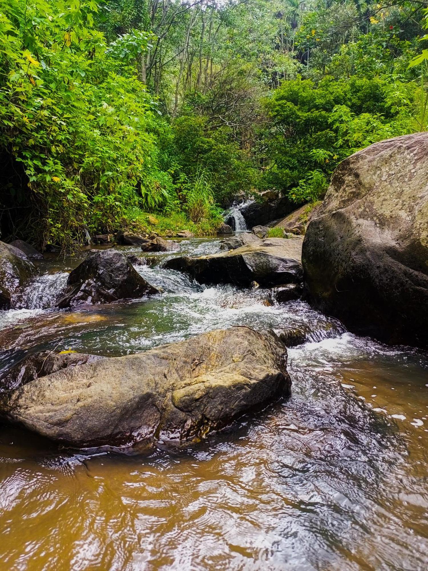 مبيت وإفطار إيلا Creek Downhills المظهر الخارجي الصورة