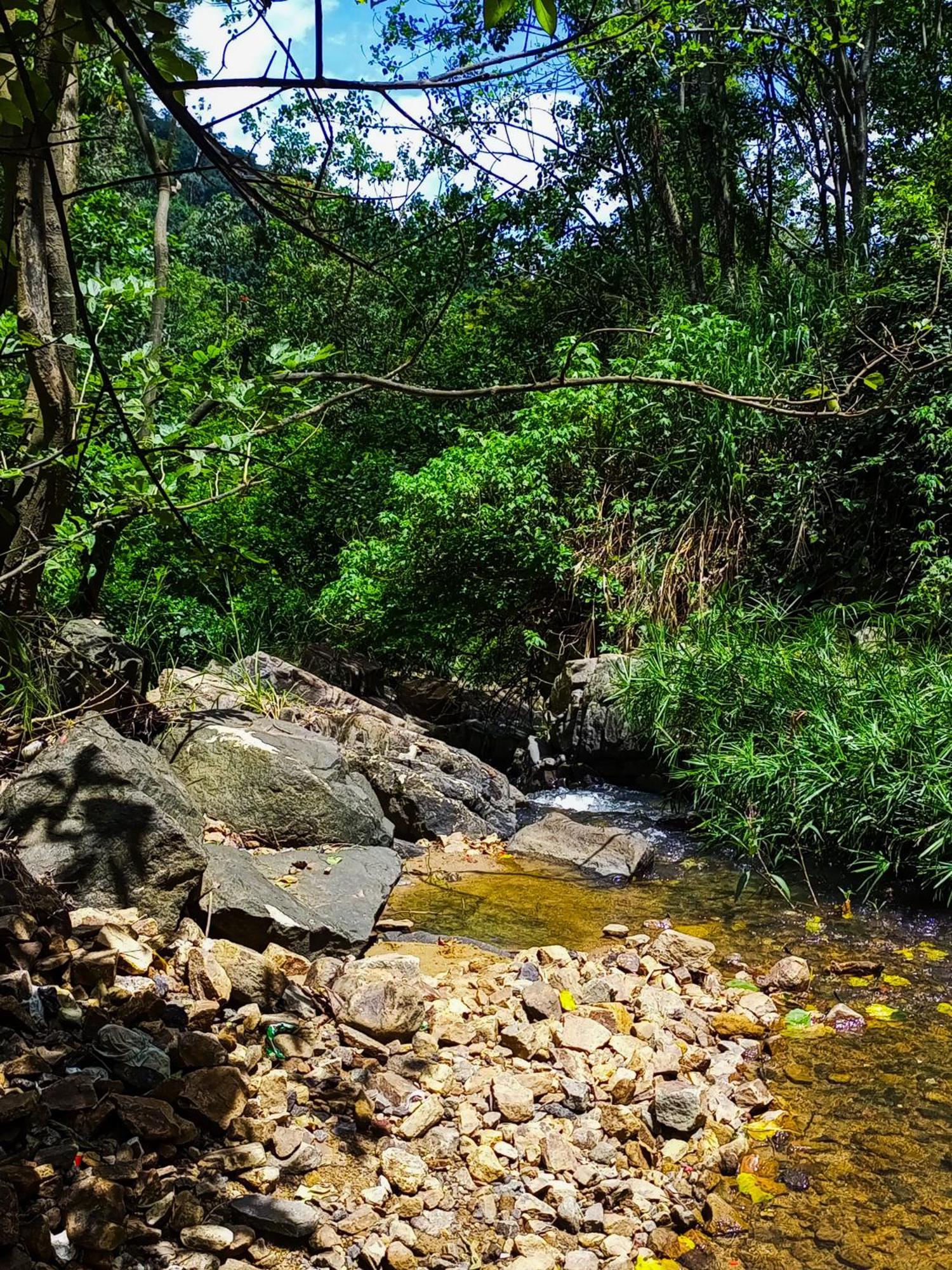 مبيت وإفطار إيلا Creek Downhills المظهر الخارجي الصورة