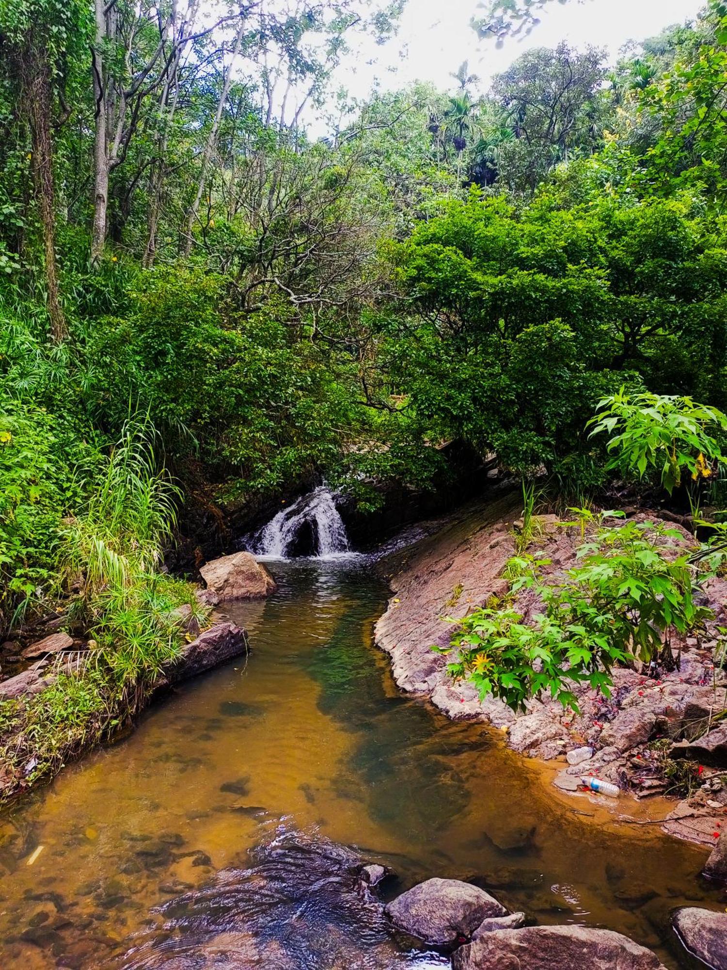 مبيت وإفطار إيلا Creek Downhills المظهر الخارجي الصورة